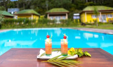 Lemurs-Lodge-Andasibe-230
